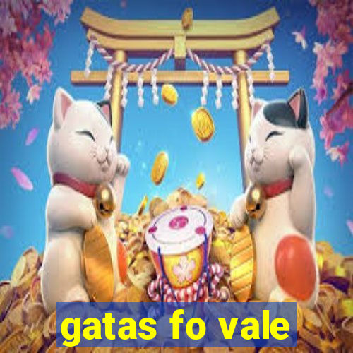 gatas fo vale